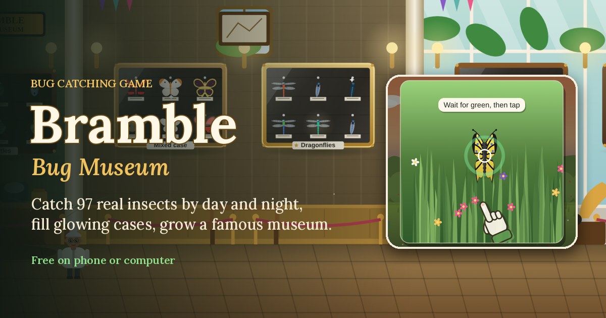 Bramble Bug Museum gameplay